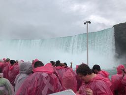 Horseshoe Fass at Niagara river (ours)