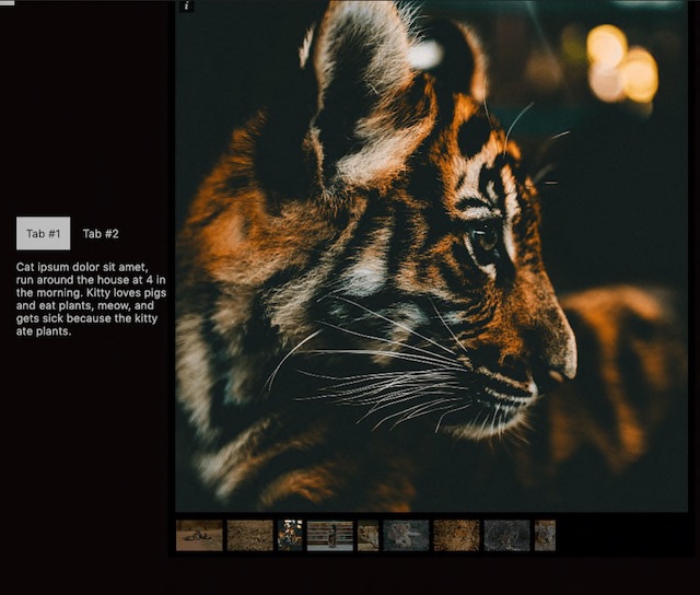 Wild Cats Gallery screenshot